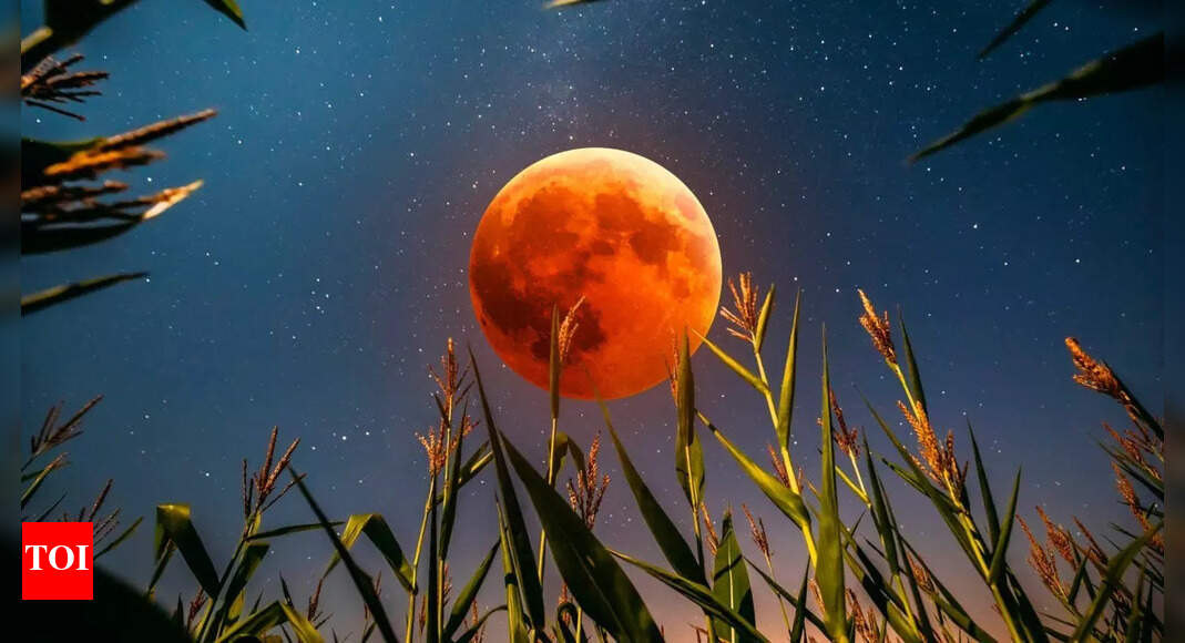 September 2025 full moon: What is the corn moon? All about visibility and timings of the celestial wonder