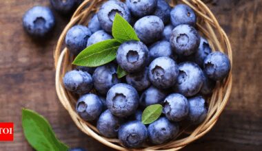 Eating blueberries regularly can cut the risk of cardiovascular disease