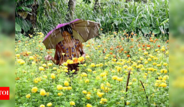 Stable yields for Onam markets in Ernakulam despite rains | Kochi News