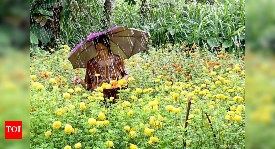 Stable yields for Onam markets in Ernakulam despite rains | Kochi News