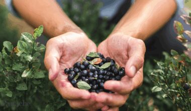Dietitian says blueberries are nature’s most powerful anti-inflammatory fruit, but there’s a catch in how you pick them