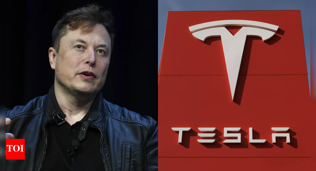 ‘Please join the Tesla silicon team if you want to…’: Elon Musk offers job as he announces ‘epic’ AI chip