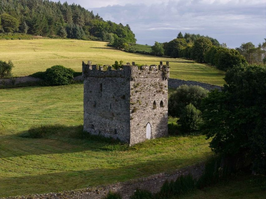 Dunran Demesne, Ashford, Co Wicklow.