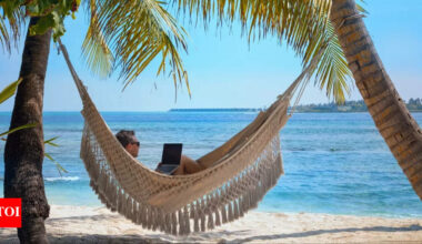 5 remote-friendly careers you can land without a Master’s degree