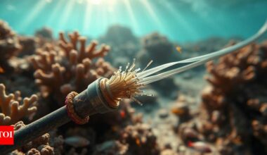 Undersea cables cut in Red Sea: Internet disrupted across Asia, Middle East; India, Pakistan among affected