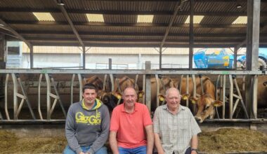 From one cow on 10ac to a global legacy – how this family built a Jersey dynasty