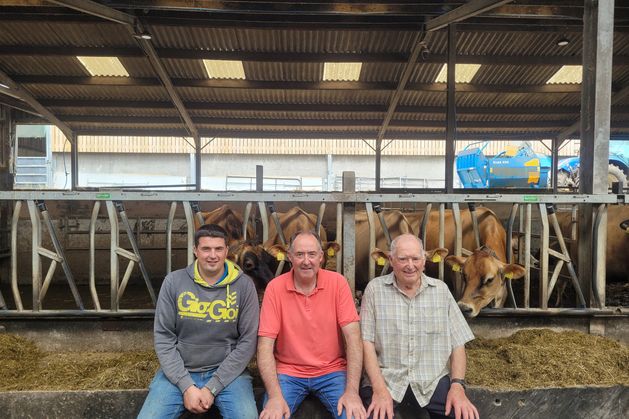 From one cow on 10ac to a global legacy – how this family built a Jersey dynasty