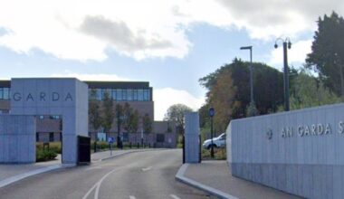 Armed gardaí swoop to arrest knife-wielding man in Wexford village