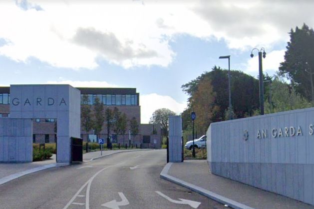 Armed gardaí swoop to arrest knife-wielding man in Wexford village