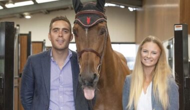 Director of equestrian centre agrees to hand over valuable horses at centre of dispute