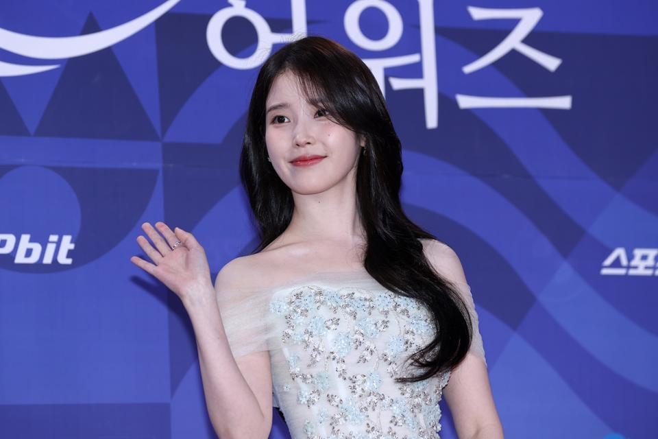 The 4th Blue Dragon Series Awards - Photocall