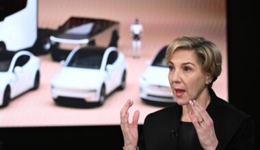 Tesla’s Chair Says Only Musk Can Lead Company Through AI, Robotics