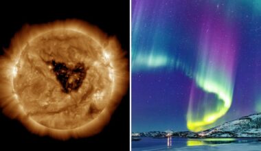 Aurora alert! Butterfly-shaped 'hole' in sun's…
