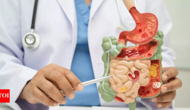 10 fibre-rich breakfasts for healthy digestion, recommended by AIIMS gastroenterologist |