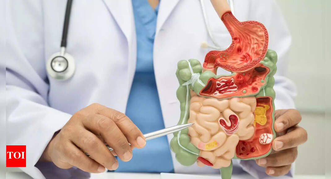 10 fibre-rich breakfasts for healthy digestion, recommended by AIIMS gastroenterologist |