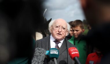 Government pushes back at Michael D Higgins comments on US and Israel’s UN participation – The Irish Times