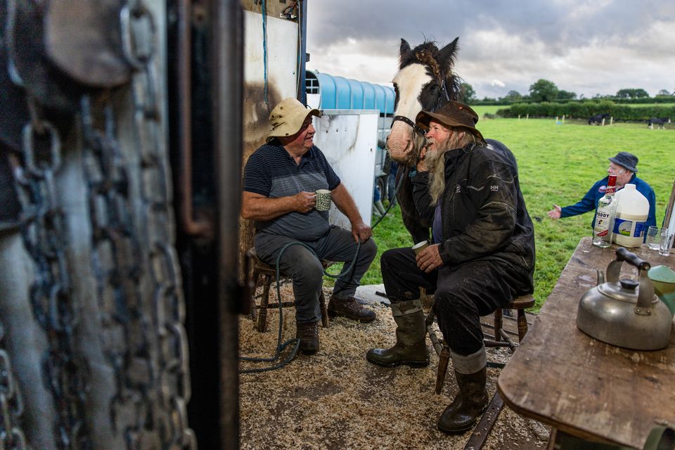 Early morning tea before ploughing on day two of the National Ploughing Championships in Screggan, Tullamore, Co. Offaly. Pic: Mark Condren