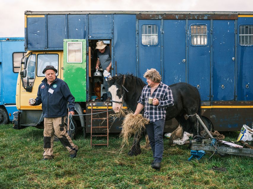 James Coffey with plough horse Sunny, John Kelly and Gerry North have an early morning cup of tea before ploughing stars on the second day of the National Ploughing Championships in Screggan, Tullamore, Co. Offaly. Pic: Mark Condren