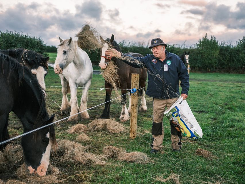 James Coffey from Co Roscommon getting his horse ready on day two of the National Ploughing Championships in Screggan, Tullamore, Co. Offaly. Picture: Mark Condren
