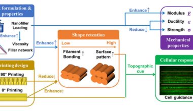 Engineering the Interplay of Materials and Design