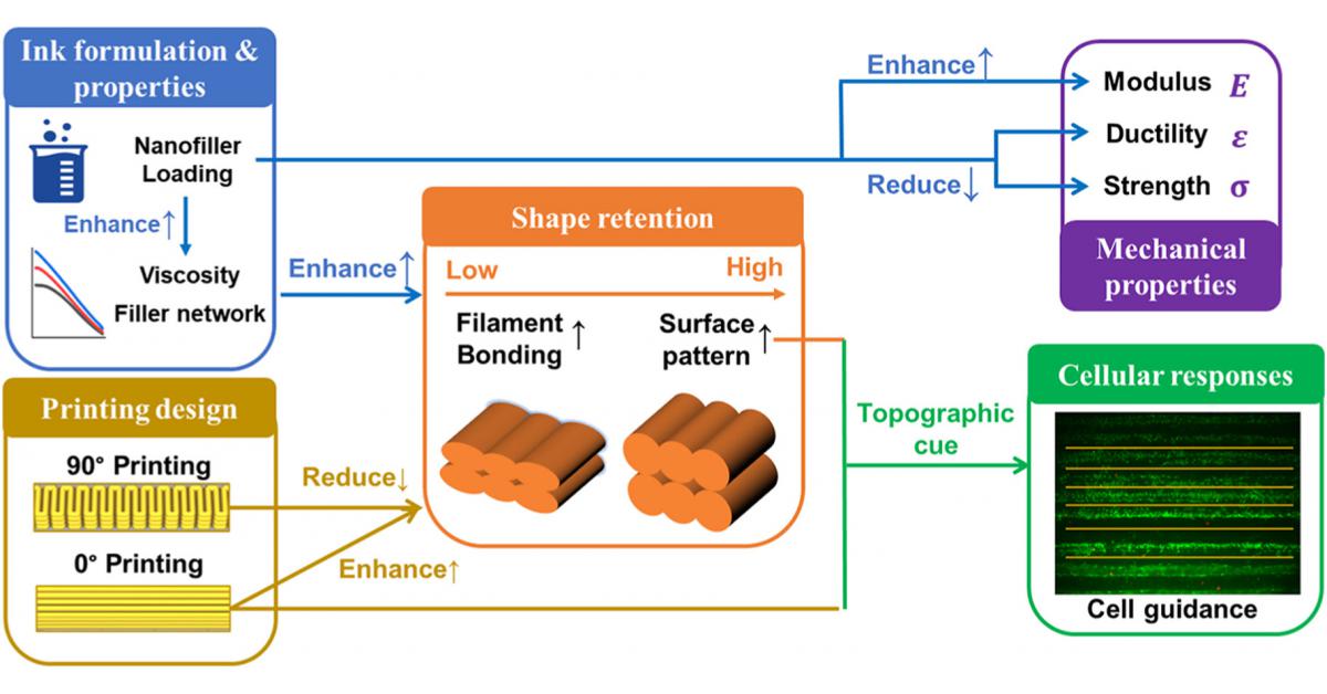Engineering the Interplay of Materials and Design