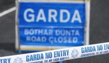 Pedestrian (40s) dies after being struck by car on Cork motorway