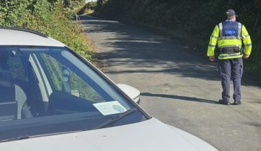 Co Wexford: Gardaí seek to ‘seriously disrupt’ dealers as over €22k of drugs seized