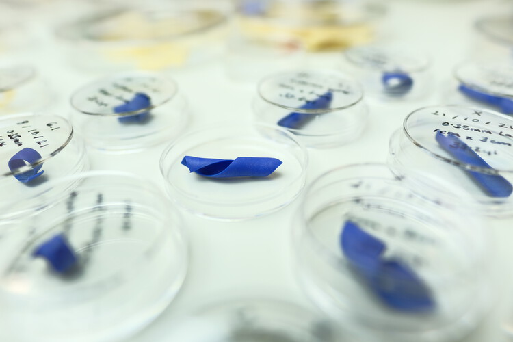 The Architect as a Scientist: New Materials Emerging Between Science and Design - Image 7 of 16