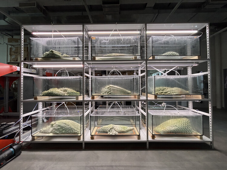 The Architect as a Scientist: New Materials Emerging Between Science and Design - Image 6 of 16
