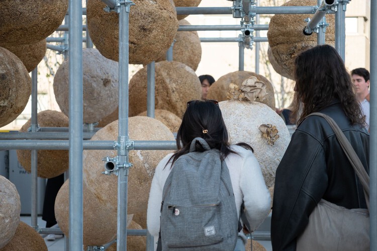 The Architect as a Scientist: New Materials Emerging Between Science and Design - Image 15 of 16