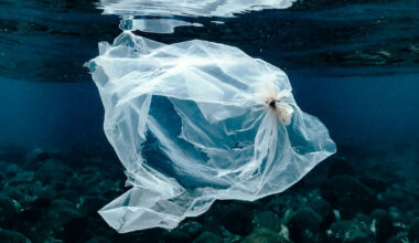 scientists use recycled plastic bags as sensors for potable water