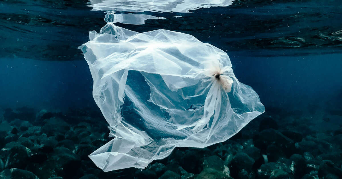scientists use recycled plastic bags as sensors for potable water