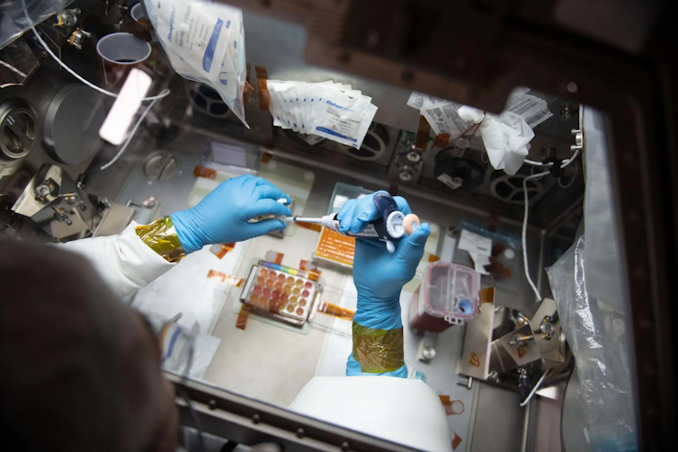 A top-down view of a scientist wearing gloves and a lab coat pipetting at a work bench on the ISS.