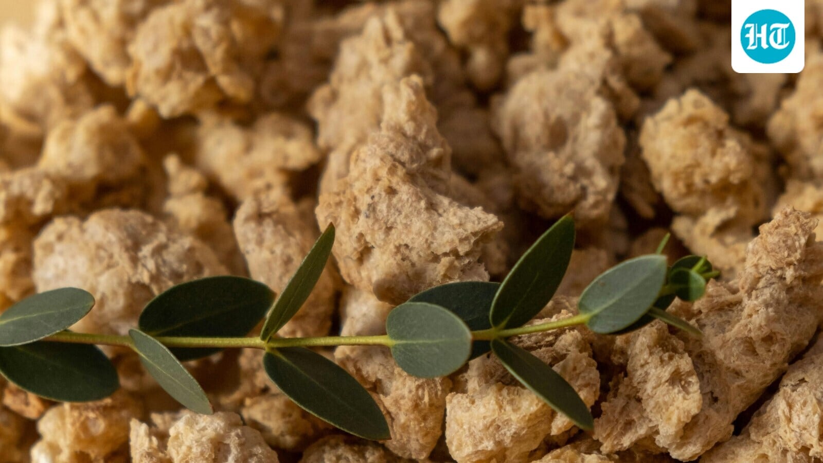 Gut health expert warns that soya chunks are not what you think, are worse than junk food: ‘They have 80 to 90%…’