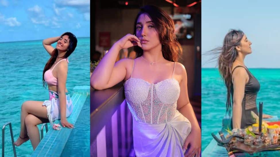 Meet Bigg Boss 19's Youngest Contestant- Check Net Worth, Career, Education, Personal Life And Now In BB19 House | News