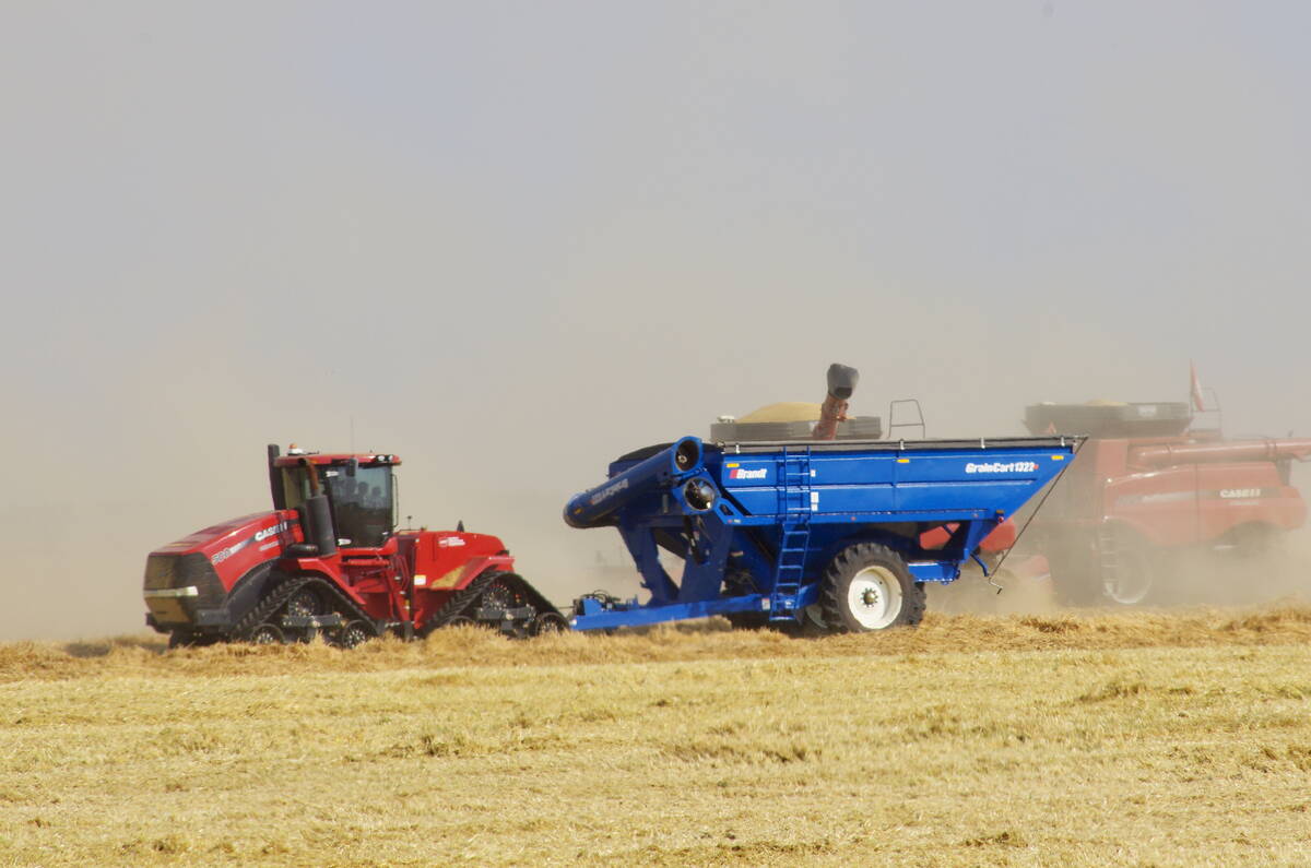Grain carts and combines hit the fields south of Darlingford to bring in the 2025 cereal harvest Aug. 30. Photo: Alexis Stockford