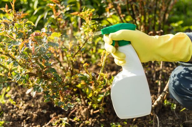 The key to keeping spiders out of your home starts outside