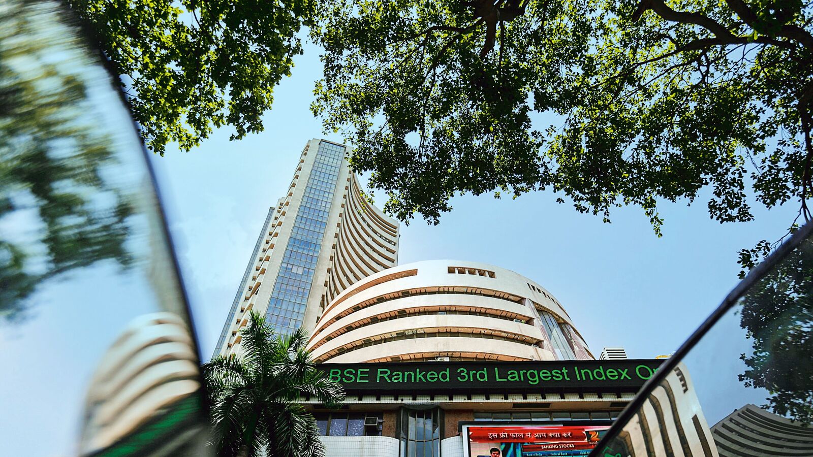 Stock market this week: Top gainers and losers shaping Nifty, Sensex trends