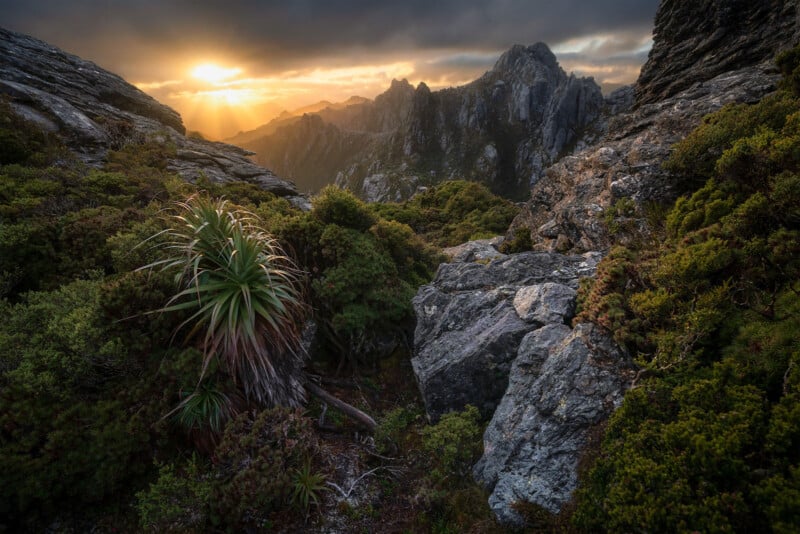 Sunset over rugged mountain peaks with dramatic clouds, rocky terrain, lush green bushes, and a spiky plant in the foreground. Sun rays shine through the mountains, illuminating the landscape.