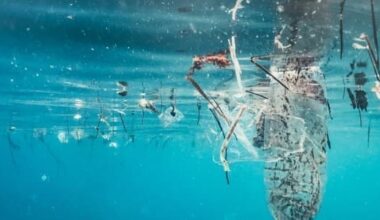 Ocean Plastic