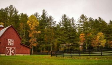 Farm