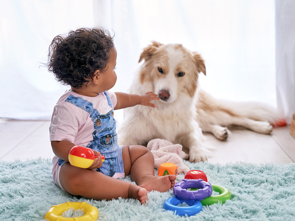 Dogs and Babies Have a Lot More in Common Than You Think, New Study Shows · Kinship
