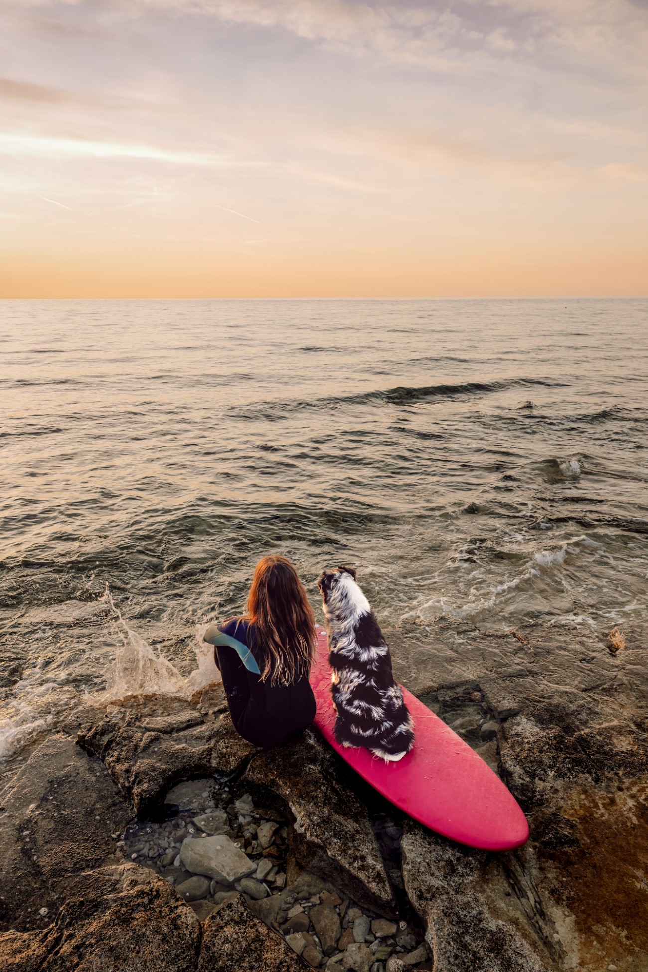 Dog on a surfboard next to its owner
