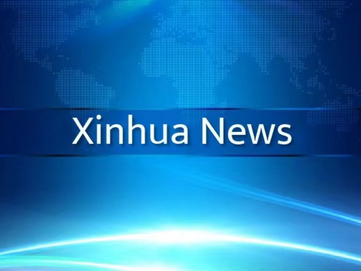 Chinese researchers develop movable electrode for more advanced brain-computer interfaces-Xinhua