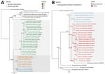 Maximum-likelihood phylogeny of zoonotic soil-transmitted helminths from human infections, Gabon. A) Necator spp. hookworms; color-coded groups are labeled per nomenclature by Hasegawa et al. (4). B) Strongyloides fuelleborni fulleborni threadworms; color-coded groups represent geographic regions. Trees are based on cox1 sequences and were created by using MEGA 11 (https://www.megasoftware.net) and Bayesian inference using MrBayes (https://github.com/NBISweden/MrBayes). Bayesian posterior probability and maximum-likelihood bootstrap support percentages (1,000 bootstrap replicates) are indicated at the nodes. Bold font and black circles indicate sequences obtained in this study. Published sequences are annotated with the country of origin, host species, and GenBank accession numbers. Scale bars indicate nucleotide substitutions per site. CAR, Central African Republic