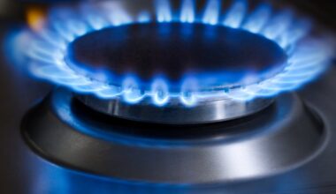 Ireland’s high-price culture and the slow transition to home-grown renewables – The Irish Times