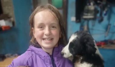 to return home and to school – The Irish Times