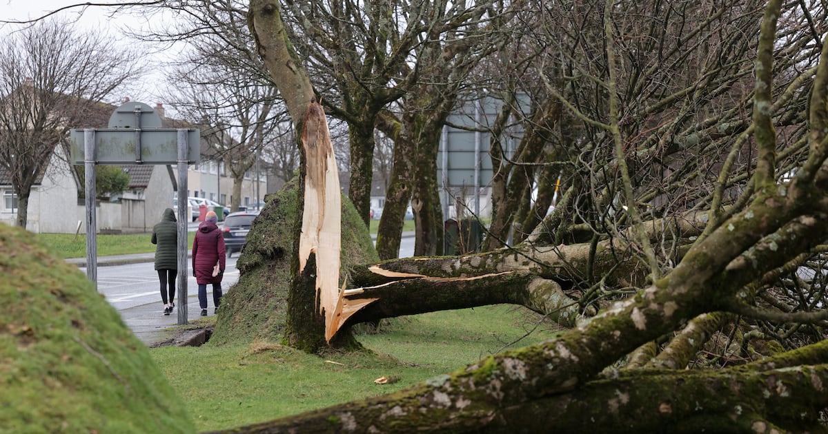 Ireland unprepared for another Storm Éowyn as season of extreme weather looms – The Irish Times