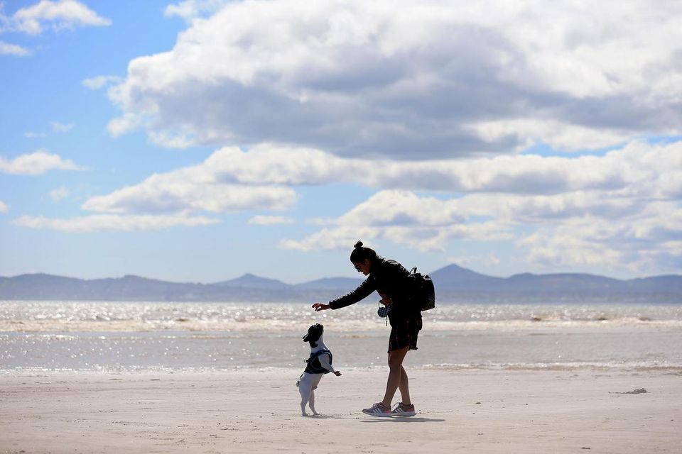 A woman plays with her dog on Dollymount Strand in Dublin during a sunny spell of weather. Stock image