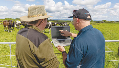 Editorial: Rural sector deserves better